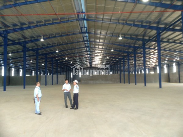 CHO THUÊ KHO BÃI – KCN PHÚ MỸ, BÀ RỊA – VŨNG TÀU – 30.000m²