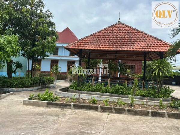 CHO THUÊ / BÁN NHÀ XƯỞNG – BẮC TÂN UYÊN, BÌNH DƯƠNG – 16.797m²