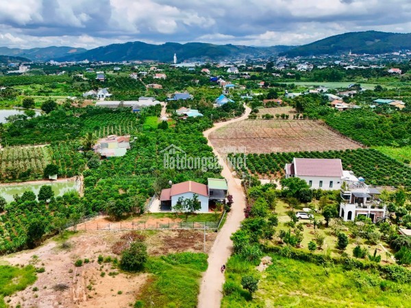 Bán Đất Ven Đà Lạt 558m² Thổ Cư 209m² – Đất Nở Hậu, View Đồi Núi, Lý Tưởng Xây Nhà Vườn Nghỉ Dưỡng