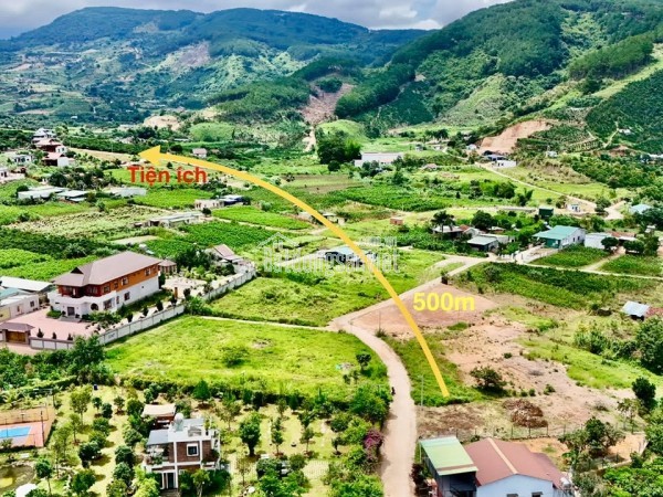Bán Đất Ven Đà Lạt 558m² Thổ Cư 209m² – Đất Nở Hậu, View Đồi Núi, Lý Tưởng Xây Nhà Vườn Nghỉ Dưỡng