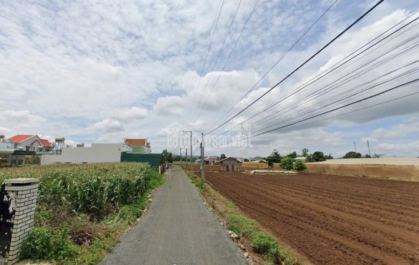 Bán 3120m2 đất xã Tân Hội Đức Trọng Lâm Đồng 4 tỷ