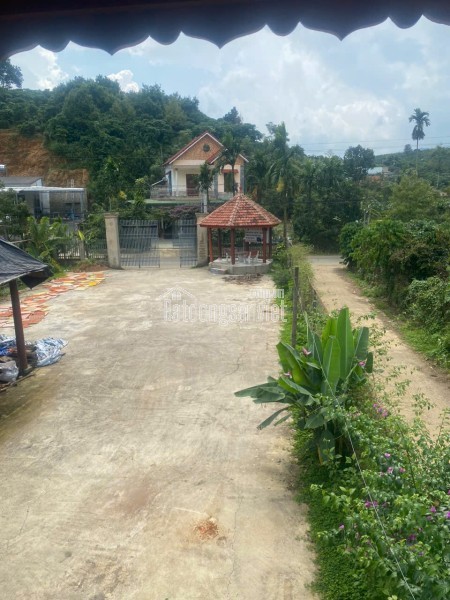NHÀ ĐẸP – GIÁ ĐẦU TƯ  – CHÍNH CHỦ CẦN BÁN CĂN NHÀ GỖ VÀ ĐẤT TẠI Phường 3, TP. Bảo Lộc, Lâm Đồng
