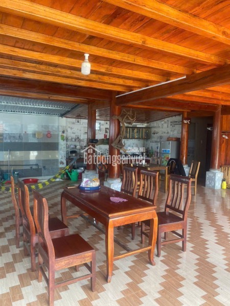 NHÀ ĐẸP – GIÁ ĐẦU TƯ  – CHÍNH CHỦ CẦN BÁN CĂN NHÀ GỖ VÀ ĐẤT TẠI Phường 3, TP. Bảo Lộc, Lâm Đồng