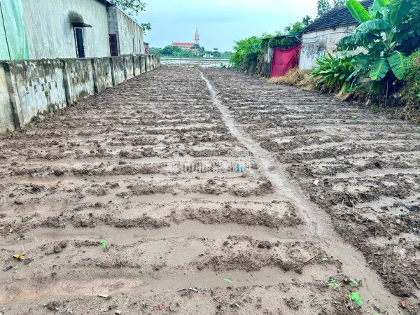 ĐẤT ĐẸP- GIÁ TỐT BÁN NHANH LÔ ĐẤT ĐẦU TƯ LÀ SINH LỜI TẠI huyện Kim Sơn tỉnh Ninh Bình