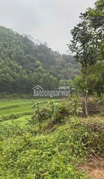 CẦN BÁN NHANH LÔ ĐẤT CHÍNH CHỦ TẠI TÂN DƯƠNG, ĐỊNH HÓA, THÁI NGUYÊN