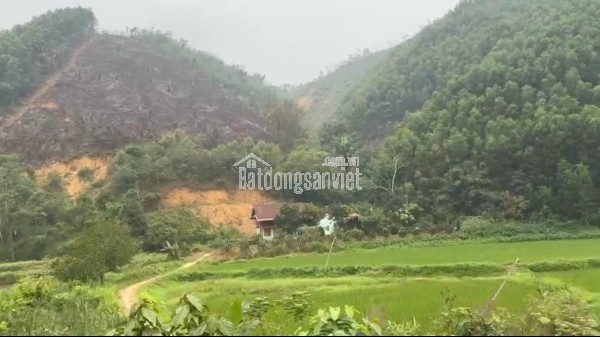 CẦN BÁN NHANH LÔ ĐẤT CHÍNH CHỦ TẠI TÂN DƯƠNG, ĐỊNH HÓA, THÁI NGUYÊN