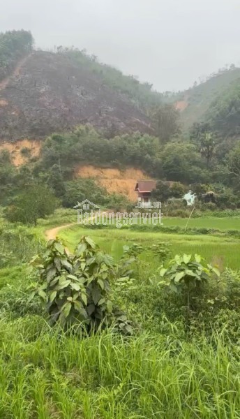 CẦN BÁN NHANH LÔ ĐẤT CHÍNH CHỦ TẠI TÂN DƯƠNG, ĐỊNH HÓA, THÁI NGUYÊN