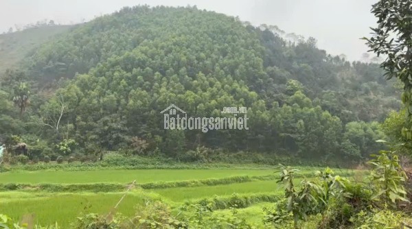 CẦN BÁN NHANH LÔ ĐẤT CHÍNH CHỦ TẠI TÂN DƯƠNG, ĐỊNH HÓA, THÁI NGUYÊN