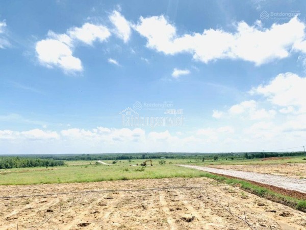 CẦN BÁN 40 HA ĐẤT QUY HOẠCH ĐẤT Ở NÔNG THÔN – VEN HỒ DẦU TIẾNG