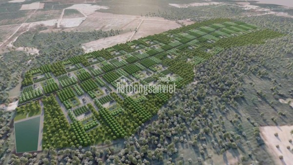 CẦN BÁN 40 HA ĐẤT QUY HOẠCH ĐẤT Ở NÔNG THÔN – VEN HỒ DẦU TIẾNG