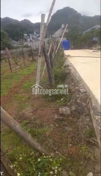 BÁN ĐẤT ĐẸP – TRUNG TÂM HÀNH CHÍNH MỚI MỘC CHÂU
