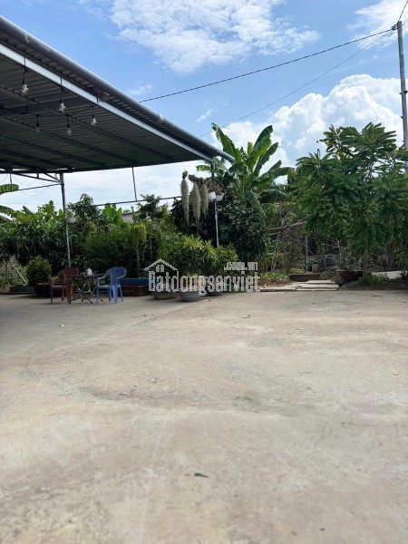 ĐẤT ĐẸP- GIÁ TỐT BÁN NHANH LÔ ĐẤT ĐẦU TƯ LÀ SINH LỜI TẠI TP Bến Tre, Tỉnh Bến Tre