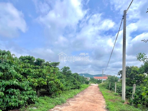 Cần Bán Đất Ven Đà Lạt 308m² Có 268m² Thổ Cư View Núi Đẹp Mặt Tiền 10m
