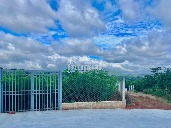 Cần Bán Đất Ven Đà Lạt 3.677m² Có 200m² Thổ Cư View Đẹp, Phù Hợp Nhà Vườn Nghỉ Dưỡng