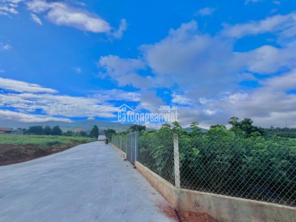Cần Bán Đất Ven Đà Lạt 3.677m² Có 200m² Thổ Cư View Đẹp, Phù Hợp Nhà Vườn Nghỉ Dưỡng