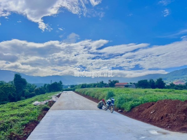 Cần Bán Đất Ven Đà Lạt 3.677m² Có 200m² Thổ Cư View Đẹp, Phù Hợp Nhà Vườn Nghỉ Dưỡng