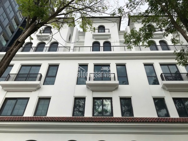SH 2 Mặt Thoáng View Công Viên & Bể Bơi  Mặt Tiền 5.5m  Tuyến Thương Mại Đẹp Nhất Sunshine Golden