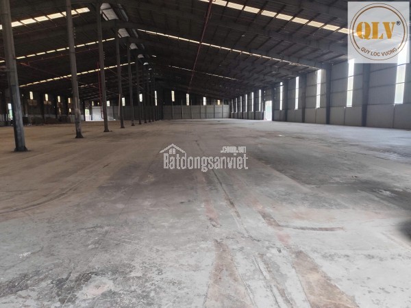 CHO THUÊ CỤM NHÀ XƯỞNG – TÂN HIỆP, TÂN UYÊN, BÌNH DƯƠNG – 60.000m²