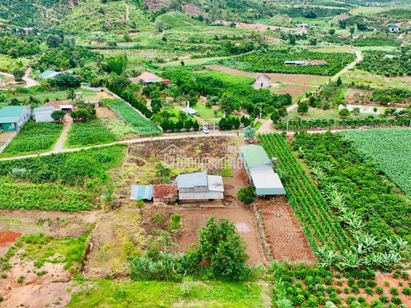 Cần Bán Đất Ven Đà Lạt 3.276m² Có 400m² Thổ Cư Mặt Tiền 41m, Phù Hợp Nhà Vườn