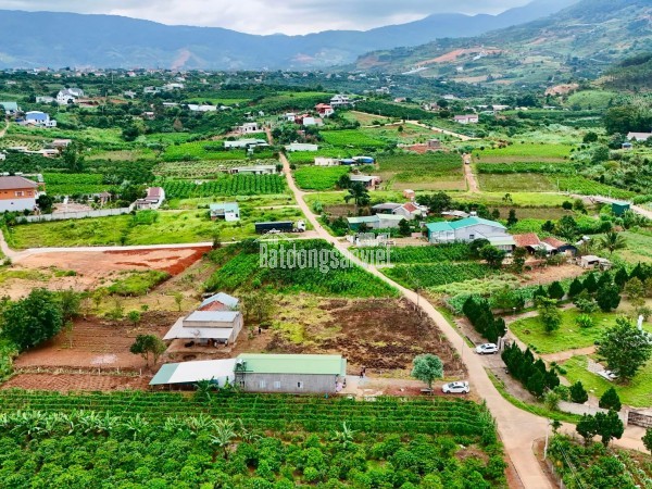 Cần Bán Đất Ven Đà Lạt 3.276m² Có 400m² Thổ Cư Mặt Tiền 41m, Phù Hợp Nhà Vườn