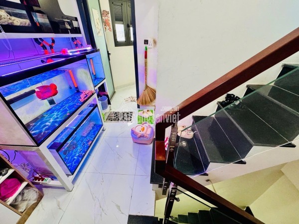 🏠Phạm Thế Hiển P5 Q8 - 3 Tầng - 6PN - Ngang Hiếm 7x14 - 7 Tỷ Nhỉnh TL
