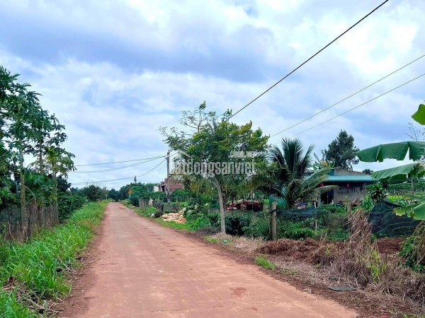 Cần Bán Đất Ven Đà Lạt 1.001m² Có 200m² Thổ Cư View Núi Đẹp Tại Nam Hà