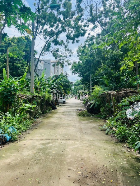 🚨 BÁN LÔ ĐẤT 90M2 BĂNG 2 NGUYỄN DU - ĐÓN ĐẦU CHUNG CƯ VƯƠNG CƯỜNG 🚨. LH 0768 194 968