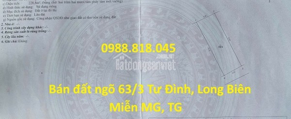 Chính chủ bán đất phân lô ngõ 63 Tư Đình, phường Long Biên, thành phố Hà Nội, 229m2, đường ô tô