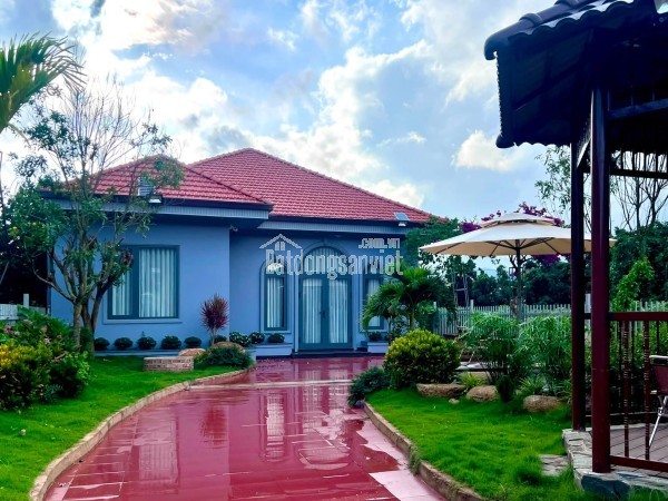 Cần Bán Nhà Vườn Tà Nung 579m² Full Nội Thất Phường Cam Ly, Đà Lạt Giá 7,5 Tỷ