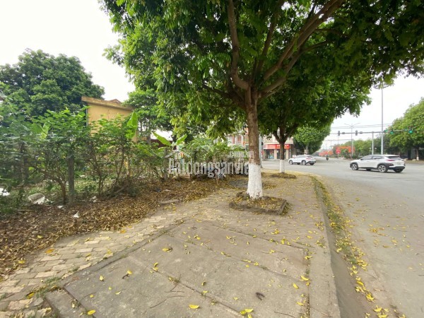Chính chủ Bán đất hẻm số 33 đường số 8, P. Linh Xuân, Quận Thủ Đức (nay là phường Linh Xuân), HCM,