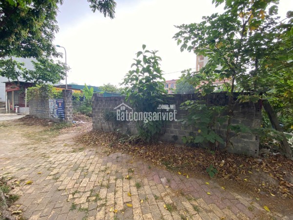 Chính chủ Bán đất hẻm số 33 đường số 8, P. Linh Xuân, Quận Thủ Đức (nay là phường Linh Xuân), HCM,