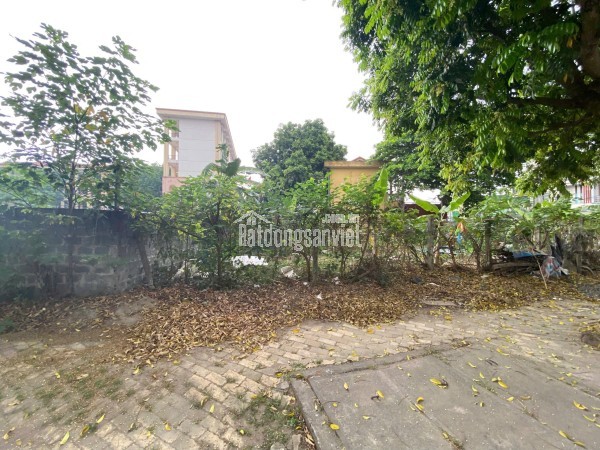 Chính chủ Bán đất hẻm số 33 đường số 8, P. Linh Xuân, Quận Thủ Đức (nay là phường Linh Xuân), HCM,