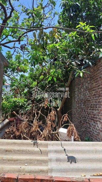 Bán đất Đại Áng 30m², ô tô vào đất, giá 3,5 tỷ