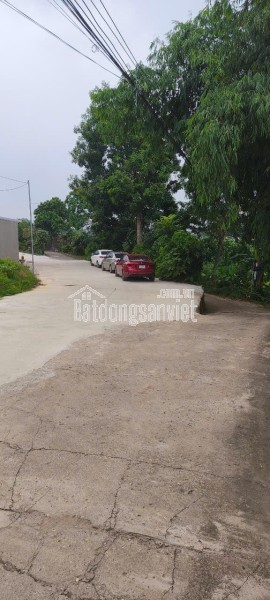 BÁN 2 LÔ ĐẤT ĐẸP – LÂM THAO, PHÚ THỌ