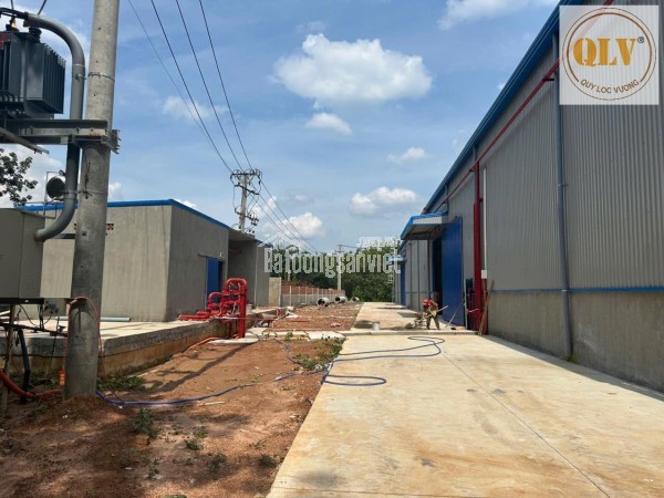 CHO THUÊ NHÀ XƯỞNG HUYỆN PHÚ GIÁO, TỈNH BÌNH DƯƠNG – 5.000m²