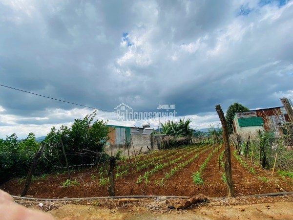 Bán đất 198m2 đất  tổ 34 - thị trấn Liên Nghĩa - Đức Trọng - Lâm Đồng 2 tỷ