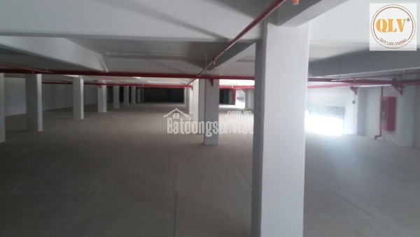 BÁN NHÀ XƯỞNG MỚI XÂY DỰNG – KCN PROTRADE, BẾN CÁT, TP.HCM (BÌNH DƯƠNG CŨ) – 10.993m²