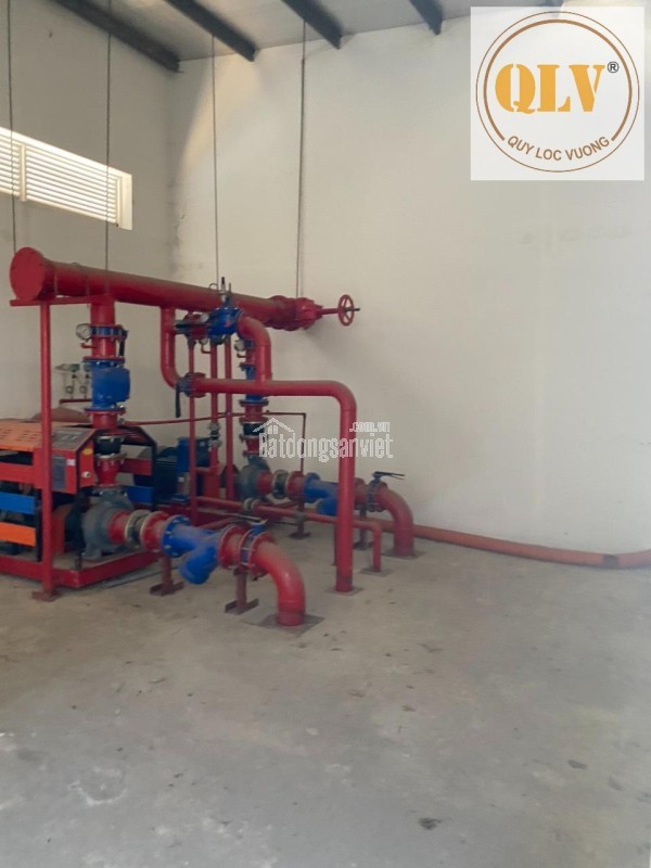 BÁN NHÀ XƯỞNG MỚI XÂY DỰNG – KCN PROTRADE, BẾN CÁT, TP.HCM (BÌNH DƯƠNG CŨ) – 10.993m²