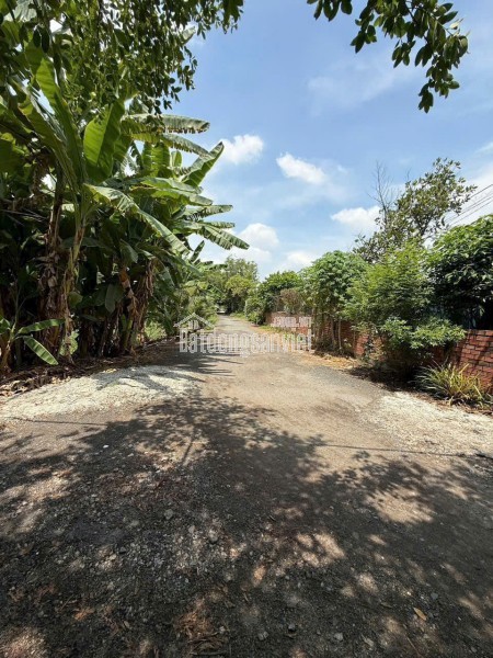 🍀CHO THUÊ KHO XƯỞNG MẶT TIỀN TÔ KÝ – 12x50m 600M2