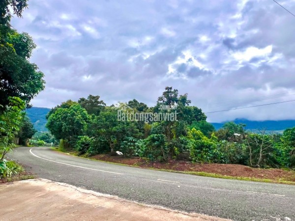 Cần Bán Đất Ven Đà Lạt 520m² Có 250m² Thổ Cư Mặt Tiền 14m, Cách Đường Nhựa Chỉ Vài Bước