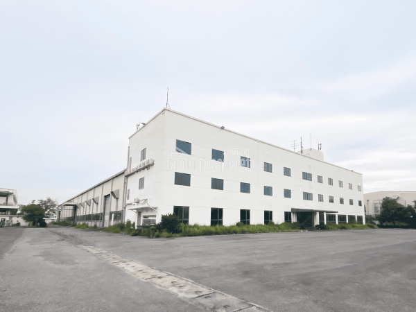 Cho Thuê Sân Bãi 3.000m² KCN Quang Minh | Xe Container Ra Vào 24/7