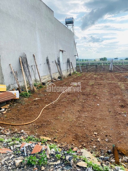 Bán Đất Mặt Tiền Đường Phan Bội Châu, Liên Nghĩa, Đức Trọng – Sổ Hồng Riêng 3TỶ8