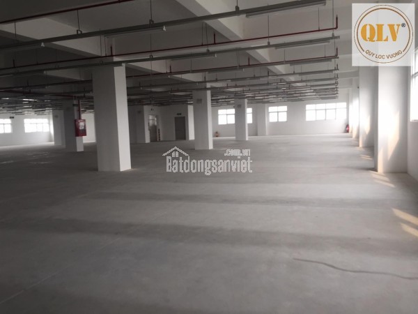 BÁN HOẶC CHO THUÊ NHÀ XƯỞNG CAO TẦNG – KCX TÂN THUẬN, QUẬN 7, TP.HCM – 7.500m²