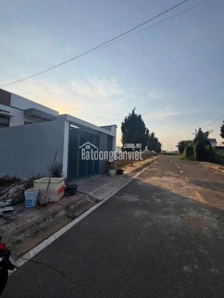 Bán đất Liên Nghĩa Lâm Đồng giá 2ty9-  DT242m2