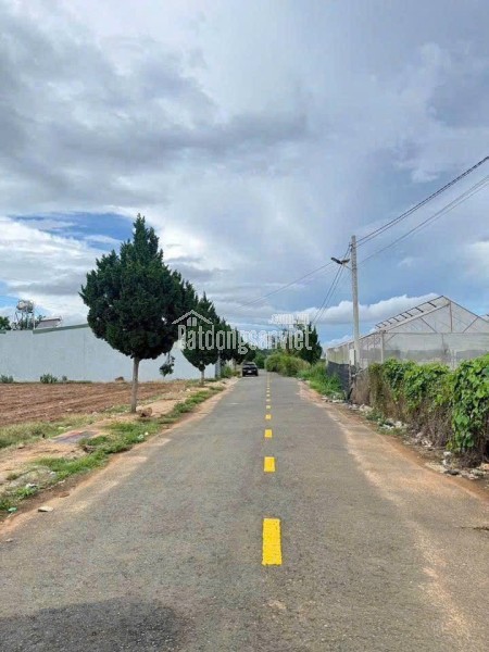 Bán đất Liên Nghĩa Lâm Đồng giá 2ty9-  DT242m2