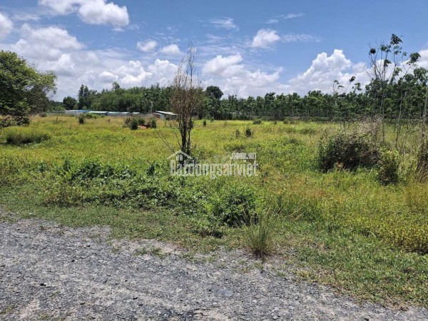 CHÍNH CHỦ CẦN BÁN LÔ ĐẤT NÔNG NGHIỆP 1011,8m2 TẠI CHÂU THÀNH - TÂY NINH