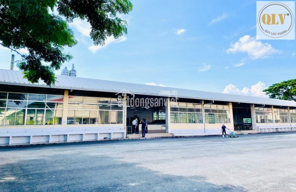 BÁN NHÀ XƯỞNG MAY MẶC, BALO, TÚI XÁCH – KCN TÂN HƯƠNG, HUYỆN CHÂU THÀNH, TIỀN GIANG – 48.112m²
