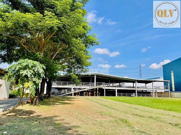 BÁN NHÀ XƯỞNG MAY MẶC, BALO, TÚI XÁCH – KCN TÂN HƯƠNG, HUYỆN CHÂU THÀNH, TIỀN GIANG – 48.112m²