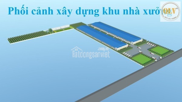 BÁN ĐẤT / XÂY NHÀ XƯỞNG CHO THUÊ THEO YÊU CẦU – THẠNH TÂN PHƯỚC, TIỀN GIANG – 103.246,2m²