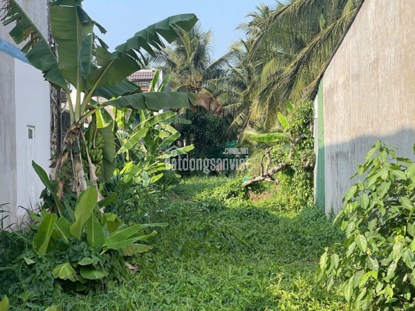 CHỈ VỚI 899 TRIỆU TRẢ TRƯỚC –  TP.MỸ THO,TIỀN GIANG ,SỞ HỮU NHÀ MẶT TIỀN VIEW KÊNH 19-05, Ô TÔ ĐẬU